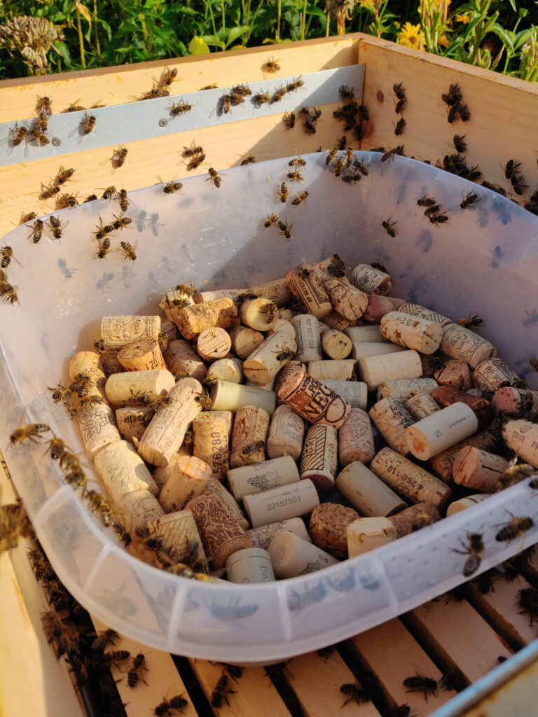 Bienenfutter schon eingelagert